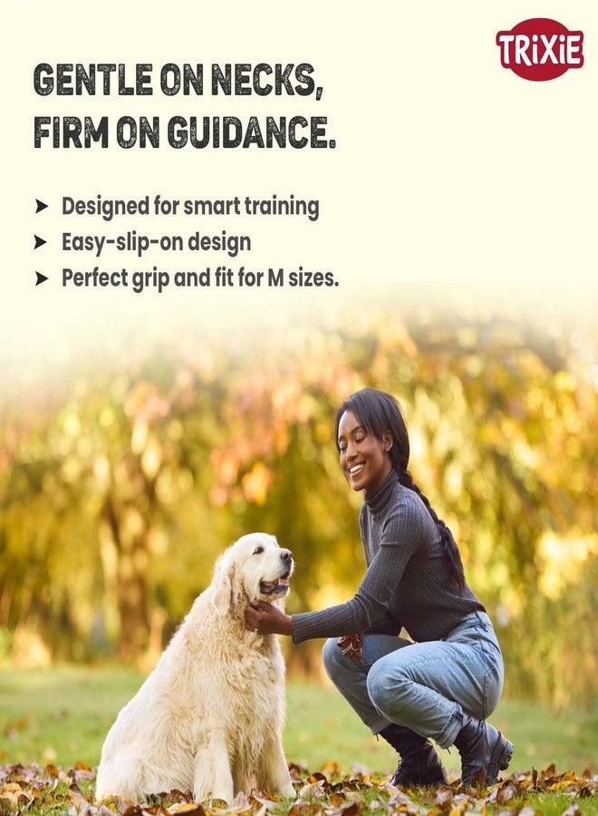 Trixie Cavo Semi-Choke Collar for Dogs | Strong and Durable Rope Collar with Chrome-Plated Semi-Choke Chain | Safe Training Tool to Discourage Pulling | Comfortable Fit (Blush/Sand, M) - Image 4